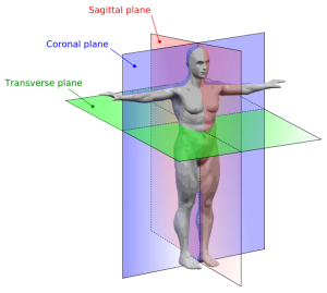 TriPlanarMovement