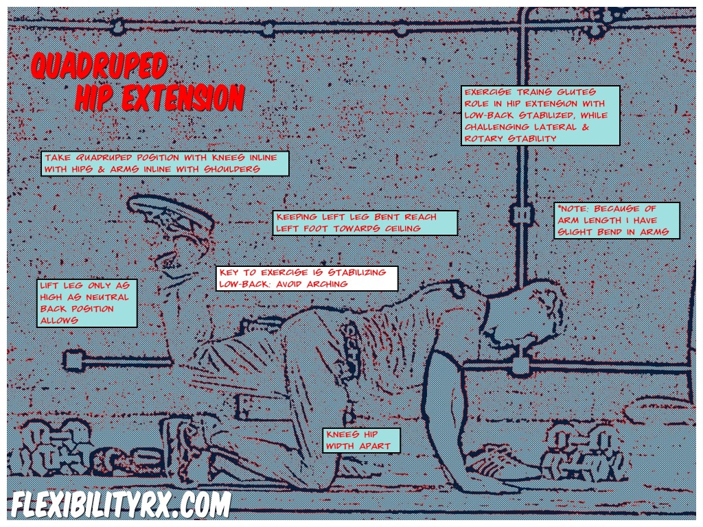 Glute-Activation-Exercises-Quadruped-Hip-Extension