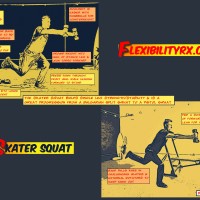 Single-Leg-Exercises-Skater Squat