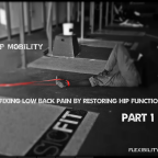 Low Back Pain - Hip Mobility