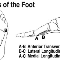 short foot position