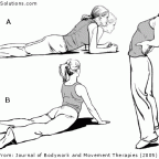 Flexion-Intolerant Low Back