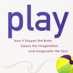 Play How it Shapes Book Cover