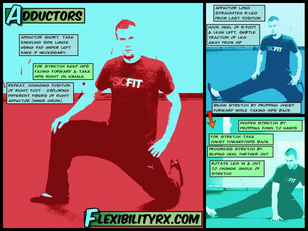 Adductor Stretch