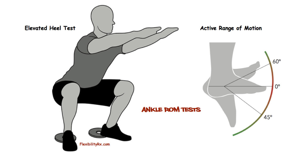 Ankle-Range-of-Motion