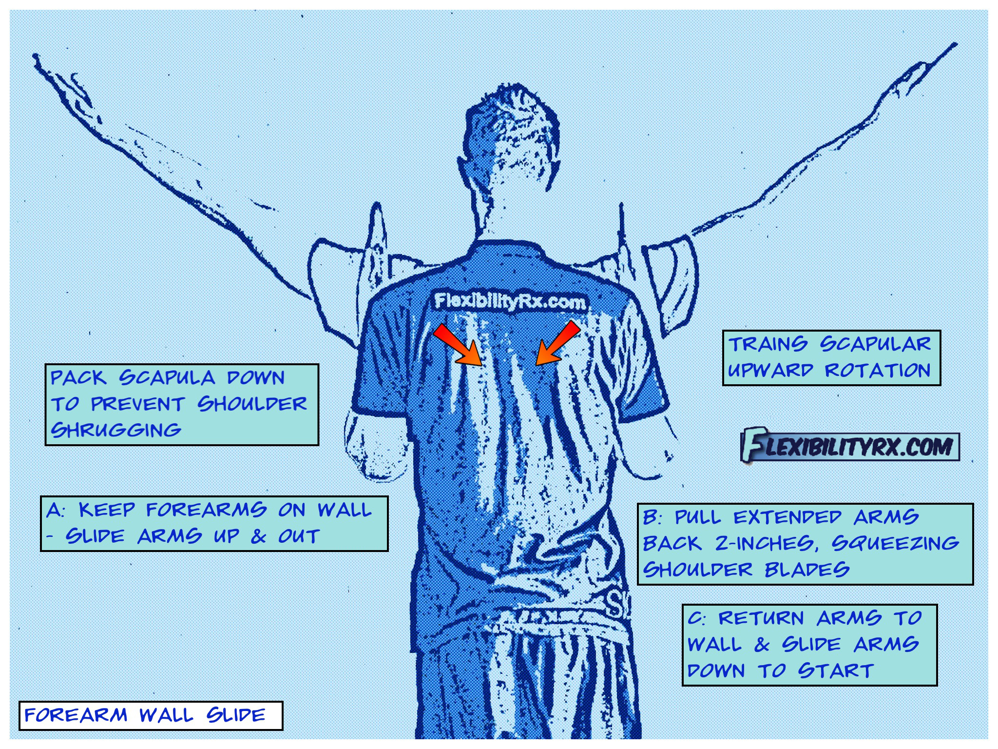 Shoulder Mobility Exercises: Scapular Wall Slides