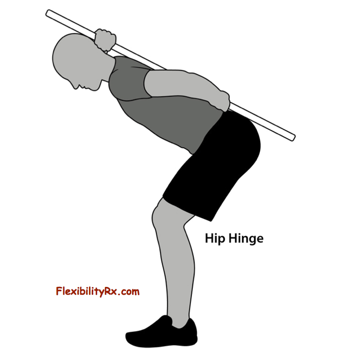 The Hip Hinge