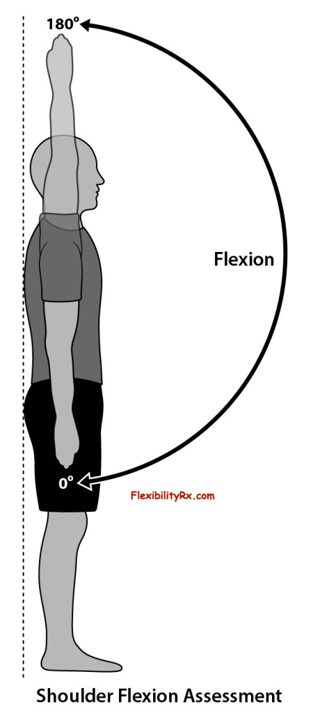 Shoulder Flexion Assessment