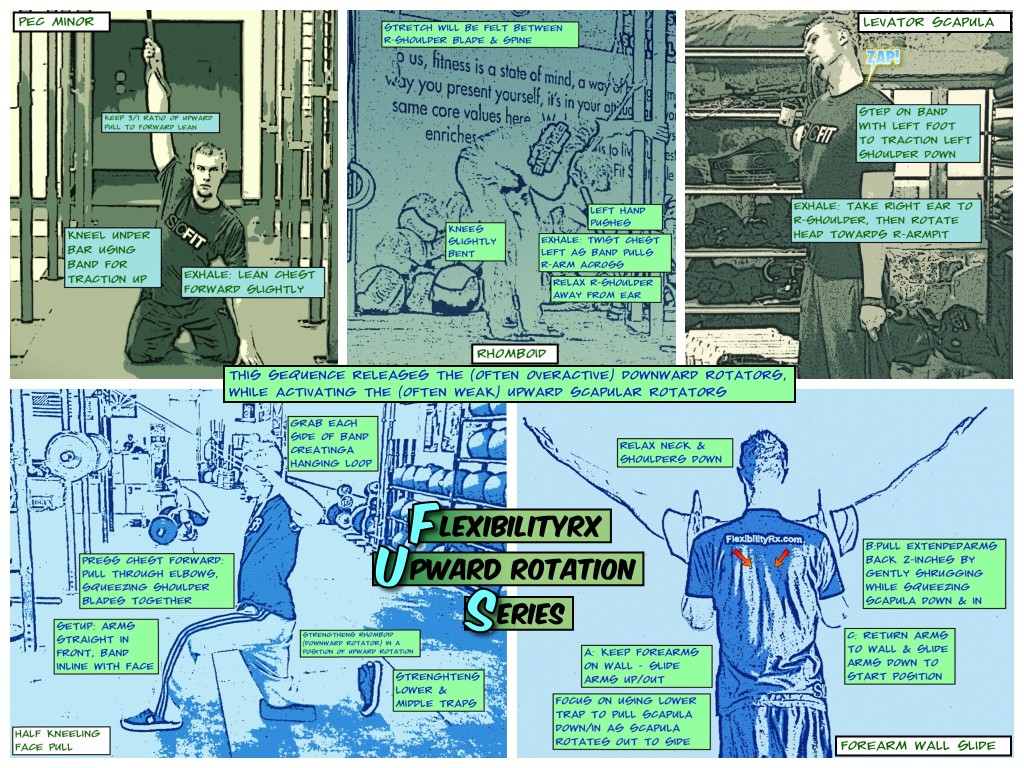 Upward-Rotation-Scapular-Stability