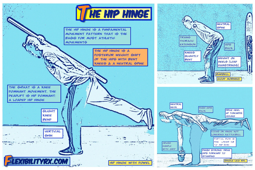 The-Hip-Hinge