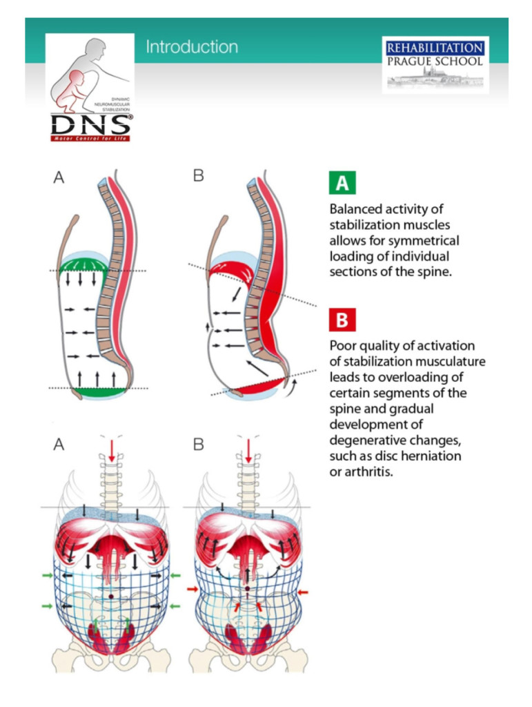 Intra-Abdominal-Pressure