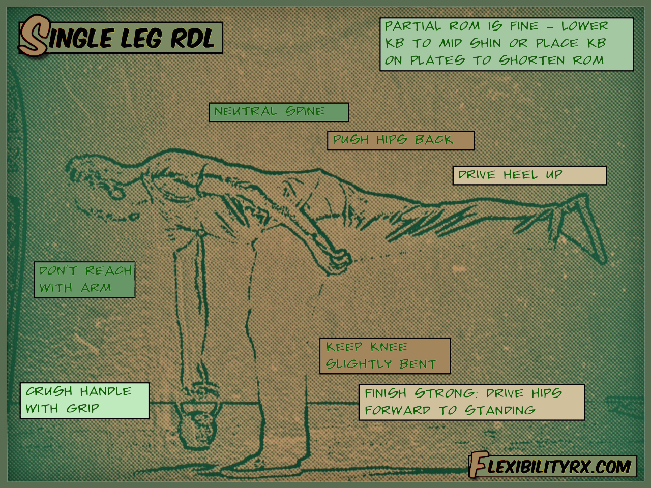 The Single Leg RDL | FlexibilityRx - Performance Based Flexibility Training