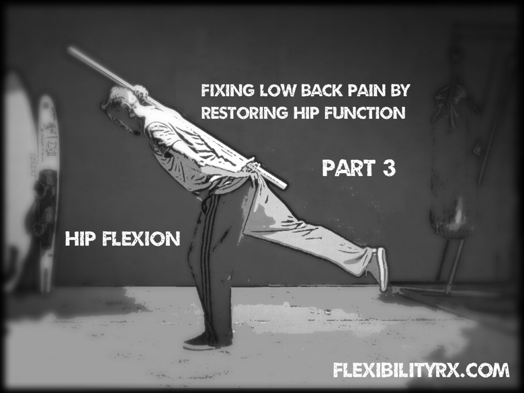 hip-hinge-dowel