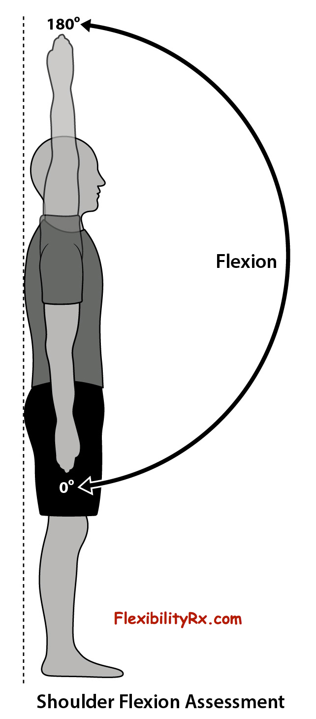 Standing Shoulder Flexion Exercises For The Shoulders Versus Standing Shoulder Flexion Exercises For The Shoulders Versus