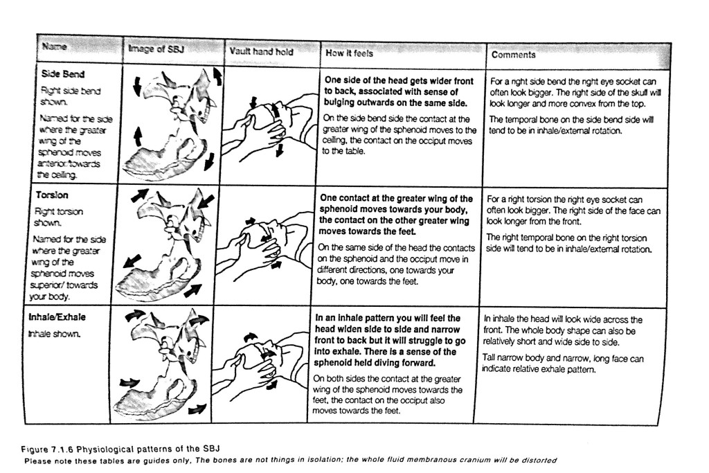 Cranial Strain Patterns